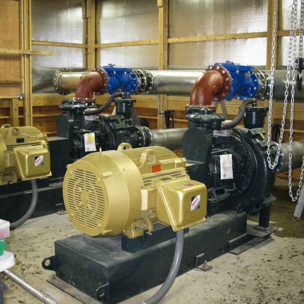 Canfield Custom Pumps