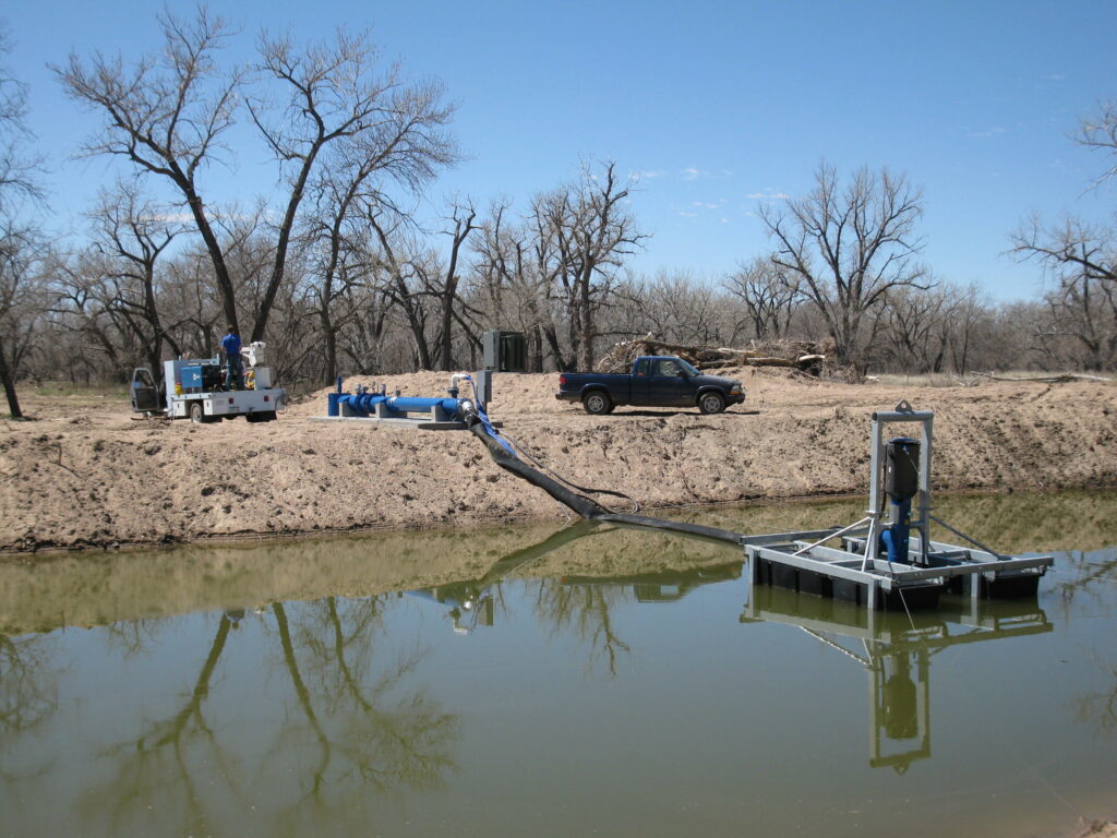 Canfield Custom Pumps