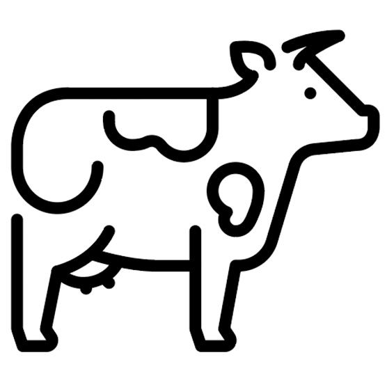 cafo-icon