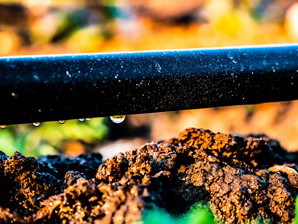 drip-irrigation